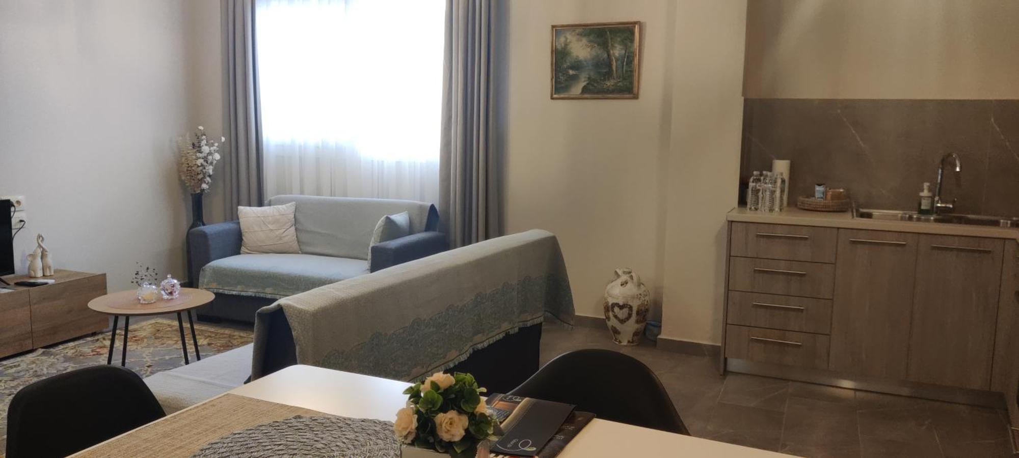 Aristo Central Apartments Ioannina Exterior foto